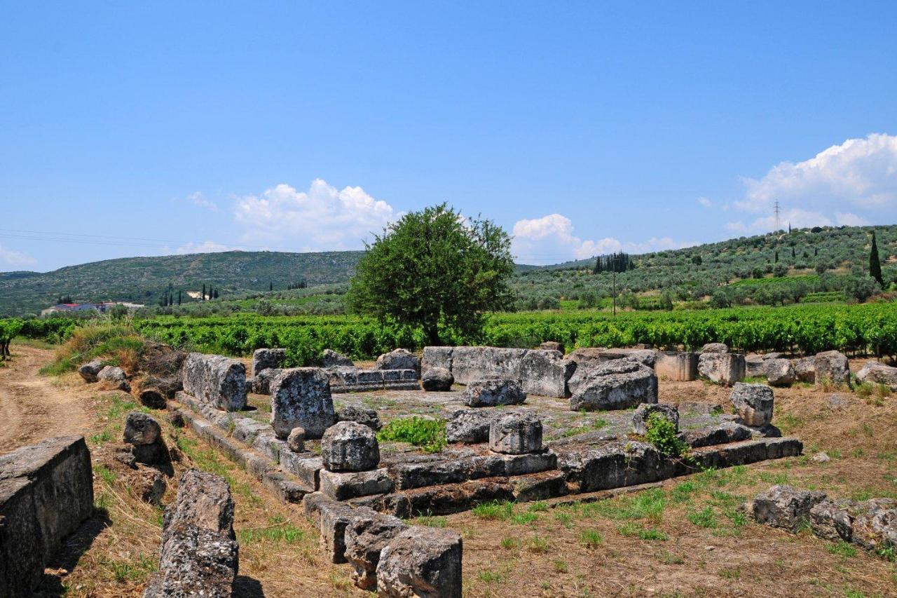 Georgia'S Village House Kondostavlos 외부 사진