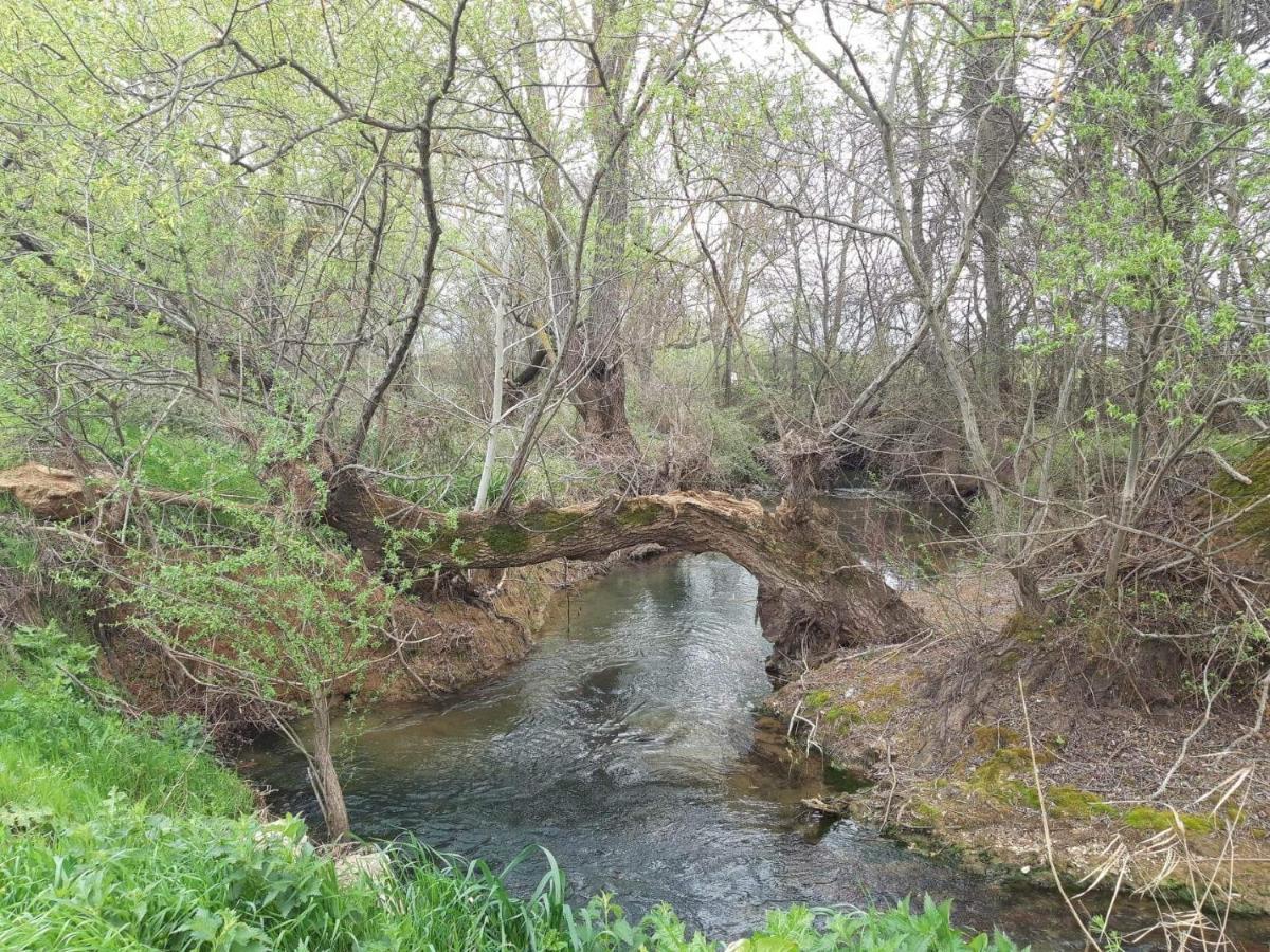 Georgia'S Village House Kondostavlos 외부 사진