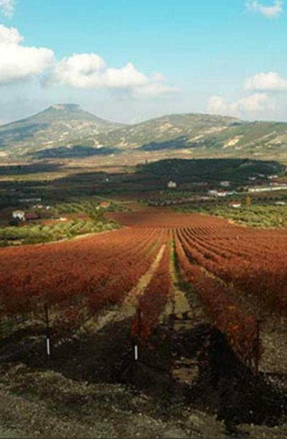 Georgia'S Village House Kondostavlos 외부 사진